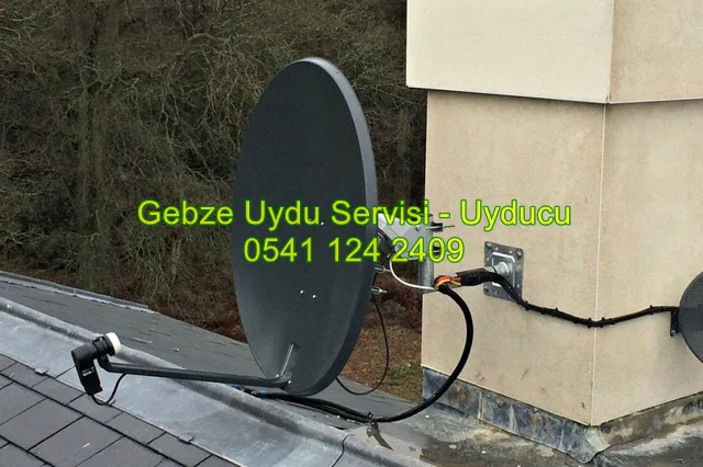 İnönü Mahallesi uydu servisi